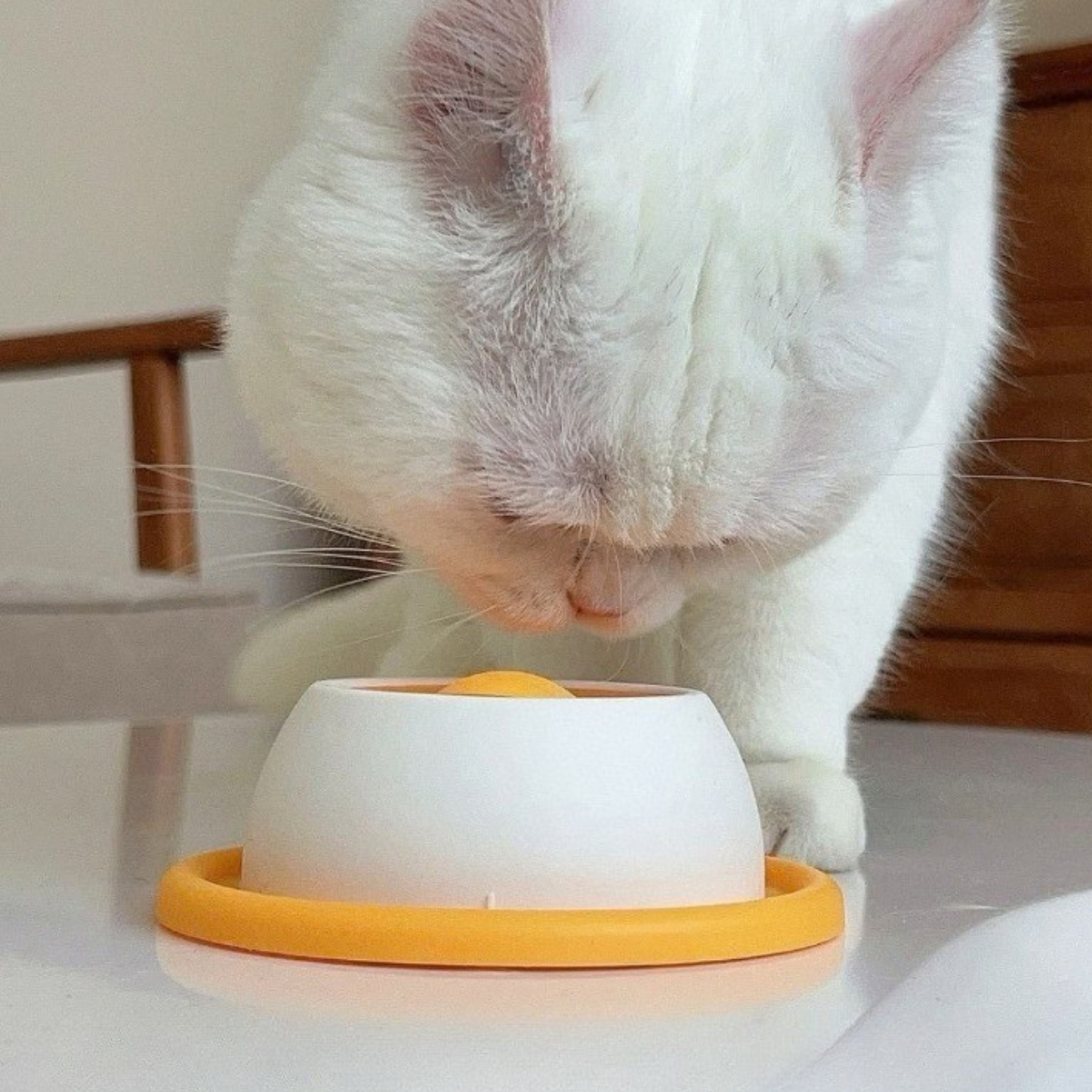 🐾 Plato de Alimentación Lenta Antiestres