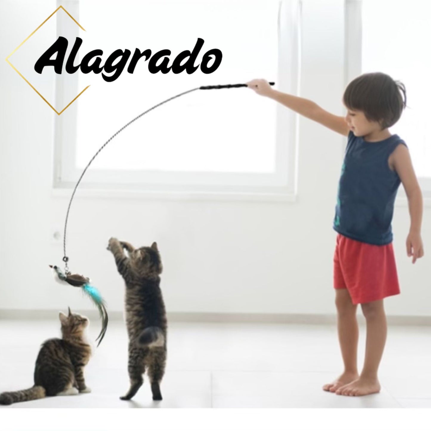 El Juguete Interactivo que Hará Feliz a Tu Gato en Cualquier Momento