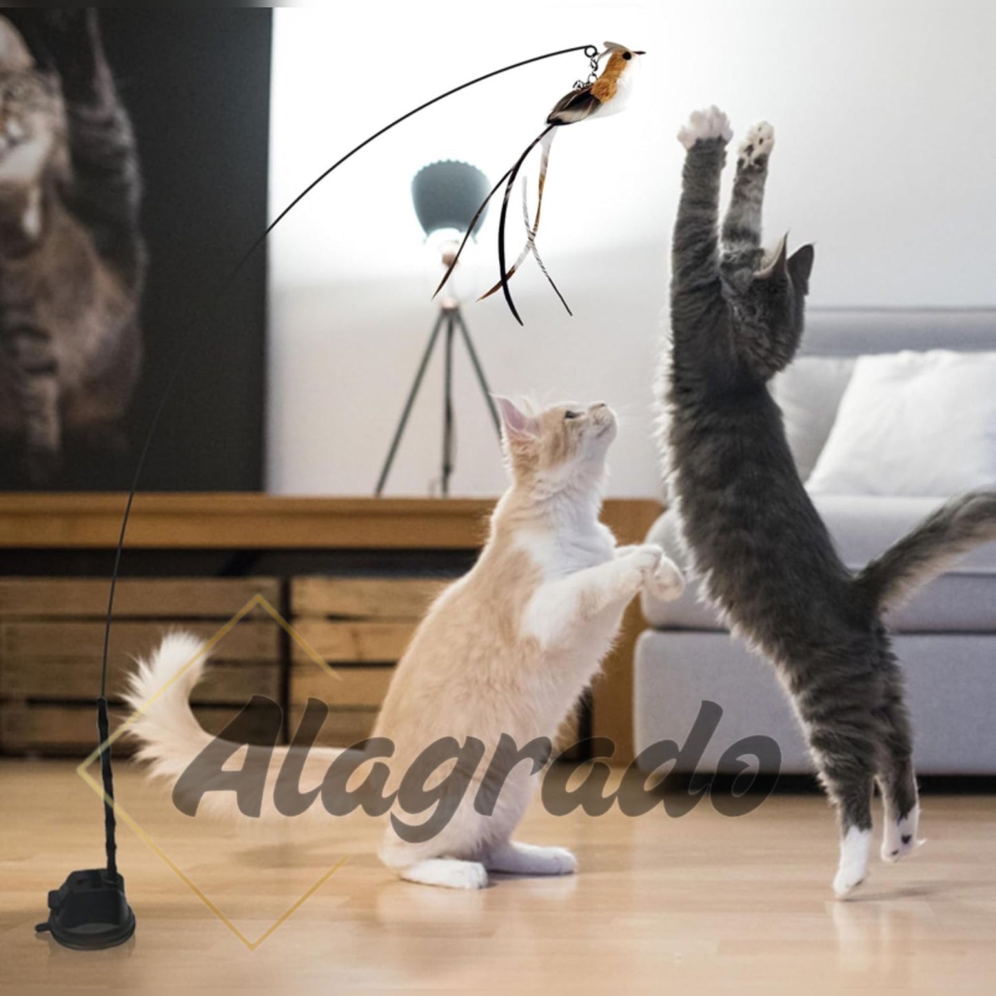 El Juguete Interactivo que Hará Feliz a Tu Gato en Cualquier Momento