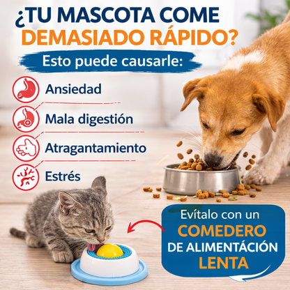 🐾 Plato de Alimentación Lenta Antiestres
