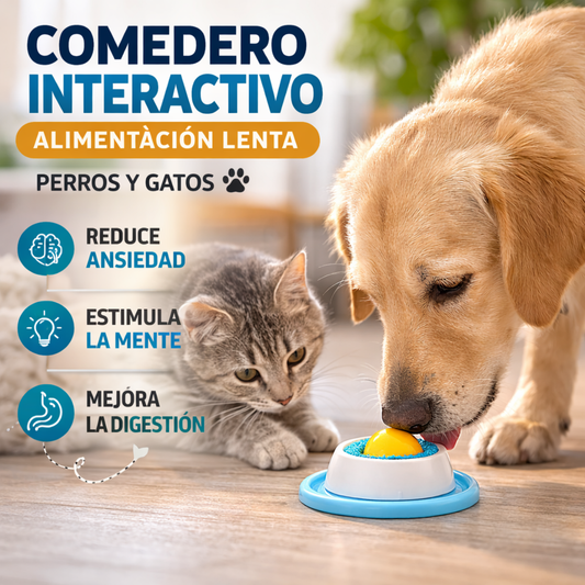 🐾 Plato de Alimentación Lenta Antiestres