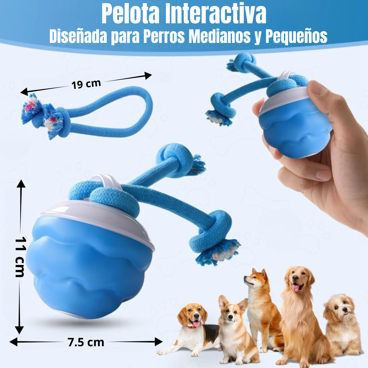 Pelota Interactiva Para Perros - Juguete Inteligente