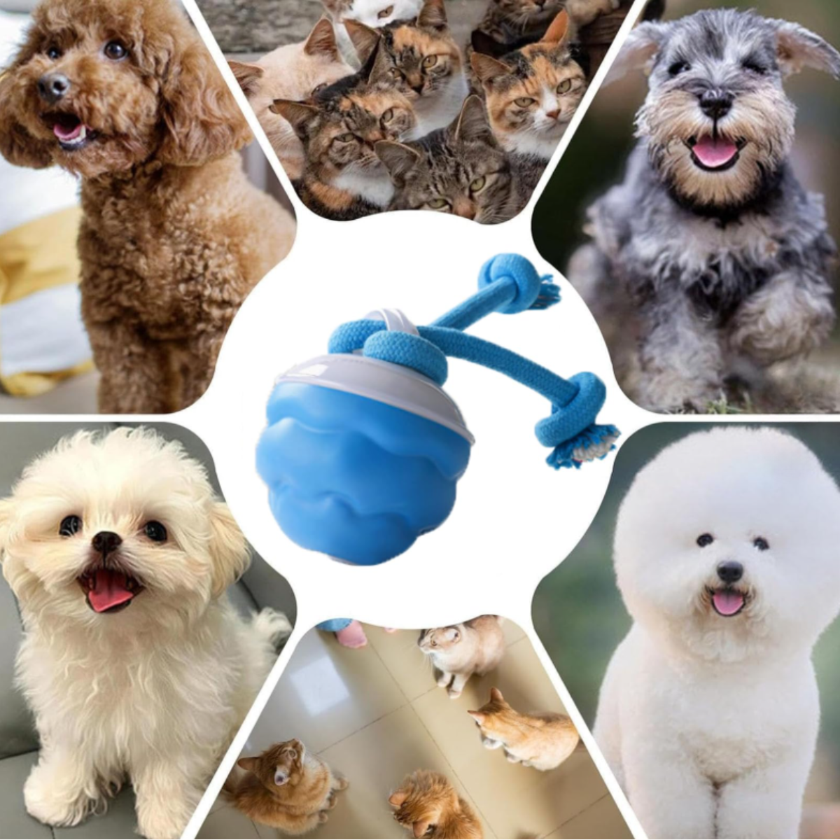 Pelota Interactiva Para Perros - Juguete Inteligente