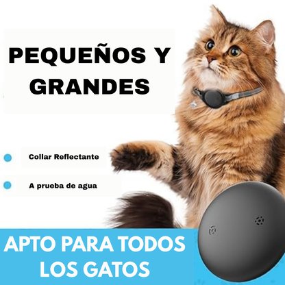 🐾 Collar con Rastreador GPS para Mascotas 🐾