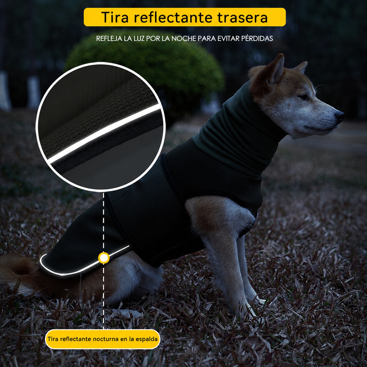 Faja Post Operatorio para Perro Anti Lamido y protección de Ruido