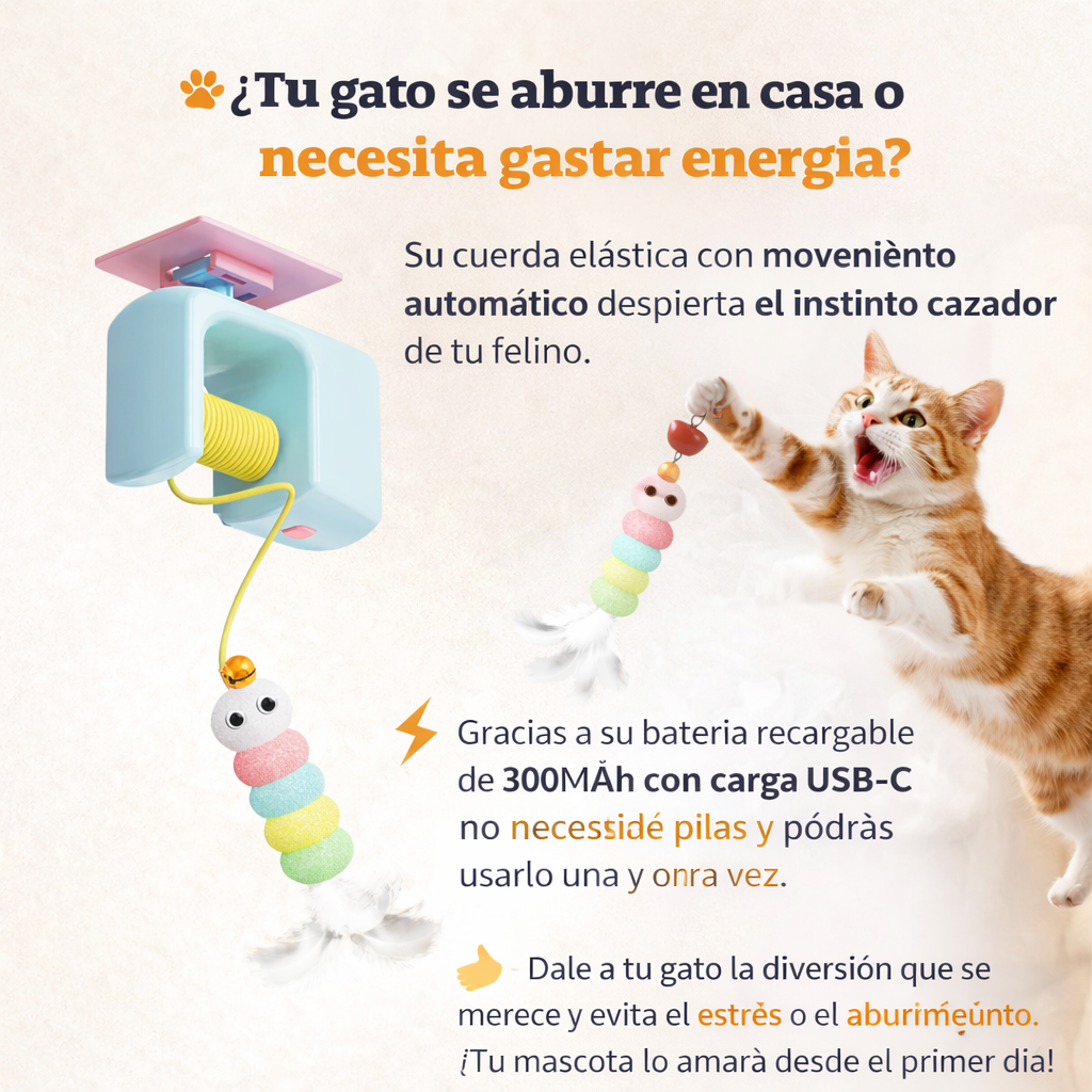 Los Mejores Juguetes Interactivos para tu  Michi Combos Ahorro Máximo