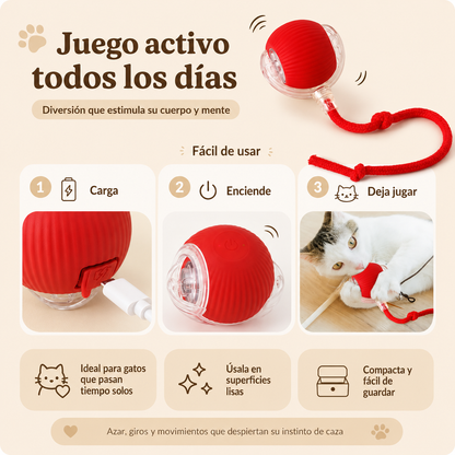 🐾 Descubre Nuestros Exclusivos Combos para Consentir a Tu Gato