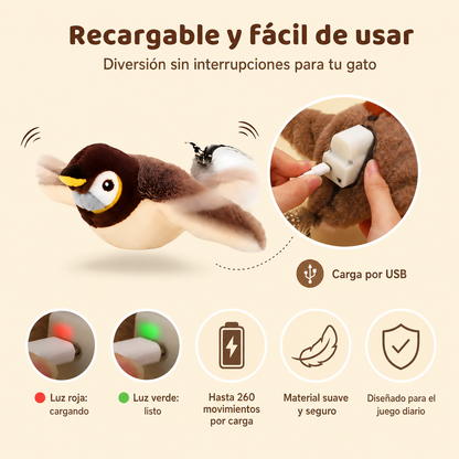 🐾 Descubre Nuestros Exclusivos Combos para Consentir a Tu Gato