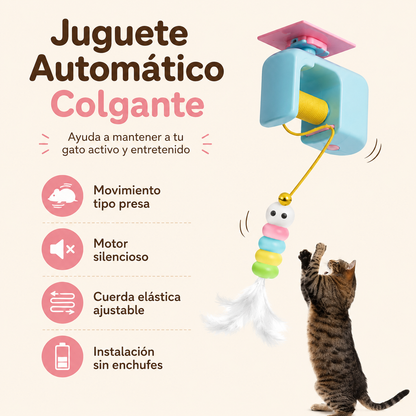 🐾 Descubre Nuestros Exclusivos Combos para Consentir a Tu Gato