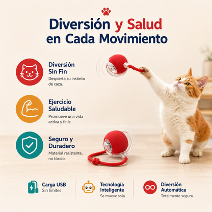 Los Mejores Juguetes Interactivos para tu  Michi Combos Ahorro Máximo